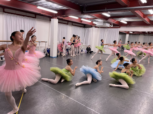 ダンススクール Ok School Of Ballet