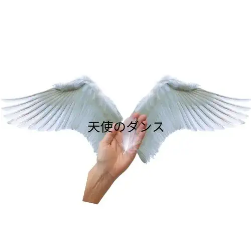 ダンススクール Tiara Classical Ballet Studio Chini Dance Studio